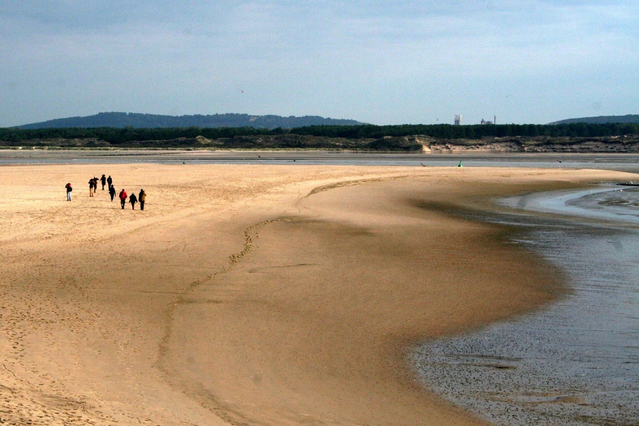 touquet_21-09-2015_comptage-phoques-gdeam